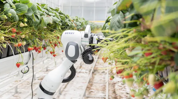 Çilek Tarlaları Yeniden Hayal Edildi: Organifarms, Siemens Solid Edge ile Tarımı Otomatikleştiriyor